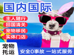 南昌昌北机场快递国际宠物托运 【国